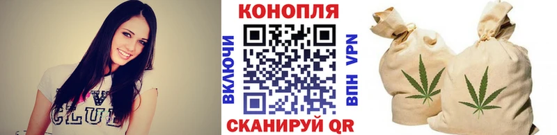 Бошки марихуана THC 21%  как найти закладки  мега как зайти  Щучье 